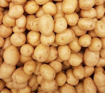 Junge goldene Kartoffeln
