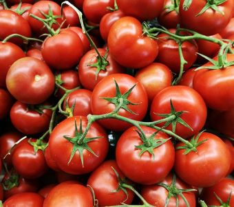 Organiczny pomidor