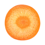 slice of carrot